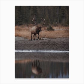 Reflection In River Canvas Print