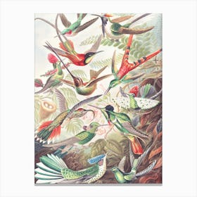 Hummingbirds 2.0 Canvas Print