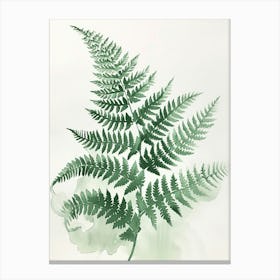 Green Ink Painting Of A Wood Fern 2 Canvas Print