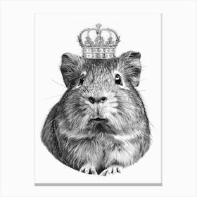 Guinea Pig 5 Canvas Print