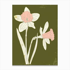 Pink & Green Daffodil 1 Canvas Print