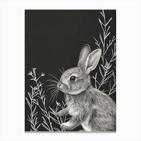 Britannia Petite Rabbit Minimalist Illustration 3 Canvas Print