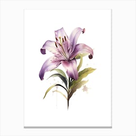 Purple Lily 1 Canvas Print