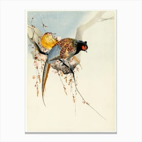 Pheasant Couple And Plum Blossom (1900 1930), Ohara Koson Canvas Print