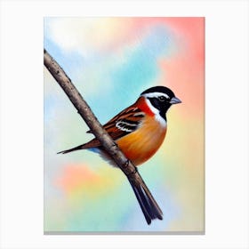 Sparrow Watercolour Bird Canvas Print