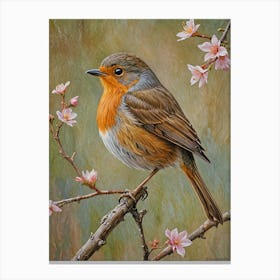 Robin Canvas Print