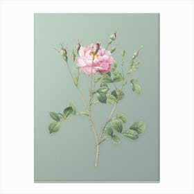 Vintage Anemone Flowered Sweetbriar Rose Botanical Art on Mint Green n.0596 Canvas Print