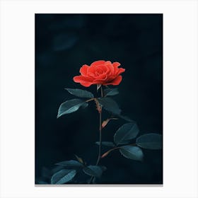 Dark Rose 86 Canvas Print