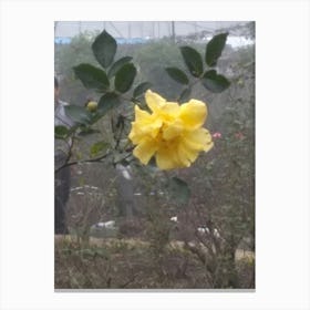 Floral Garden in Kodaikanal, India. Photograph 10 Canvas Print