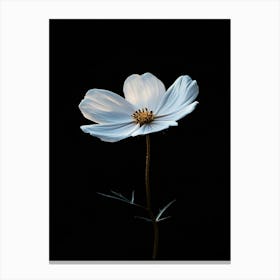 White Cosmos Flower 4 Canvas Print