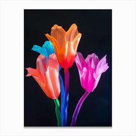 Bright Inflatable Flowers Coral Bells 5 Canvas Print