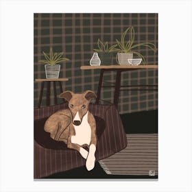 Dog In Living Room Green Canvas Print
