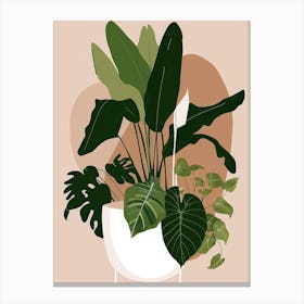 Houseplants In A Pot Canvas Print