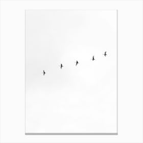 Flock Of Birds In Flight Canvas Print