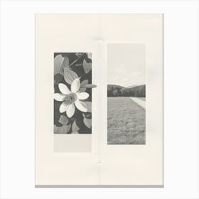 Columbine Flower Photo Collage 2 Canvas Print
