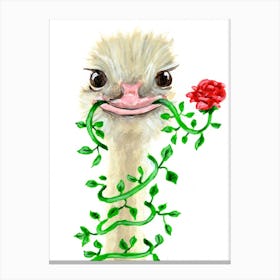Ostrich With Flower Canvas Print