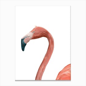 Flamingo Canvas Print