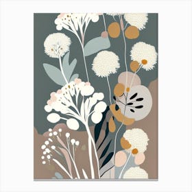 Pearly Everlasting Wildflower Modern Muted Colours 2 Canvas Print
