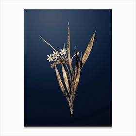 Gold Botanical White Baboon Root on Midnight Navy n.1036 Canvas Print