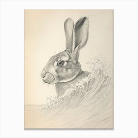 Rhinelander Rabbit Drawing 4 Canvas Print