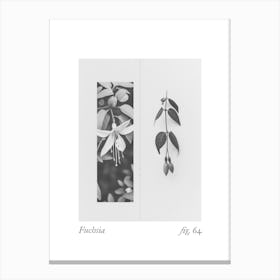 Fuchsia Botanical Collage 2 Canvas Print