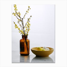 Forsythia 1 Canvas Print