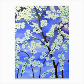 Cherry Blossoms 29 Canvas Print