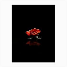 Single Rose On Black Background 57 Canvas Print