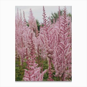 Pretty Pink Floral Canvas Print