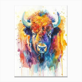 Buffalo Colourful Watercolour 3 Canvas Print