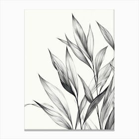 Black And White Leaves 5 Canvas Print