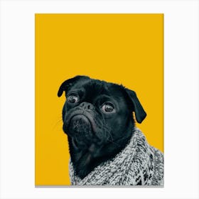 Black Pug Dog On Yellow Background Canvas Print