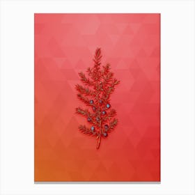 Vintage Common Juniper Botanical Art on Fiery Red n.0296 Canvas Print