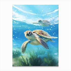 Group Of Baby Sea Turtles Canvas Print