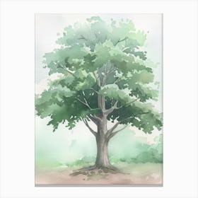 Mahogany Tree Atmospheric Watercolour Painting 6 Canvas Print