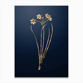 Gold Botanical Rush Daffodil on Midnight Navy n.3812 Canvas Print