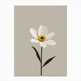 White Daisy Canvas Print