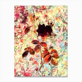Impressionist Autumn Damask Rose Botanical Painting in Blush Pink and Gold Canvas Print