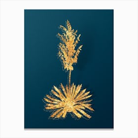 Vintage Adam's Needle Botanical in Gold on Teal Blue n.0135 Canvas Print