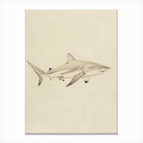 Vintage Nurse Shark Pencil Illustration 1 Canvas Print