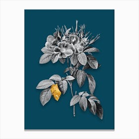 Vintage Pasture Rose Black and White Gold Leaf Floral Art on Teal Blue n.1059 Canvas Print