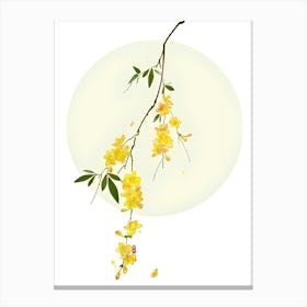 Chinese Wisteria Flower Canvas Print