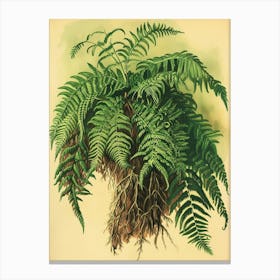 Vintage Illustration Upside Down Fern 3 Canvas Print