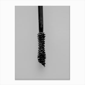 Black Mascara Brush Canvas Print