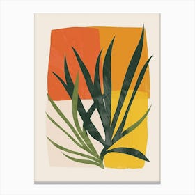 Air Plant Plant Minimalist Illustration 8 Canvas Print