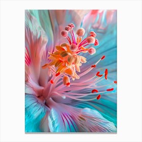 Hibiscus Flower 2 Canvas Print