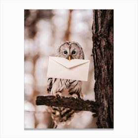 The Magic Letter Owl Canvas Print