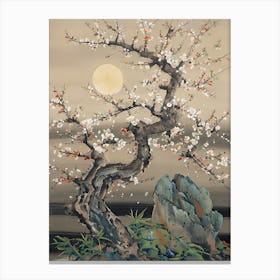 Cherry Blossom Tree 19 Canvas Print