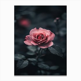 Rose In The Dark 8 Canvas Print