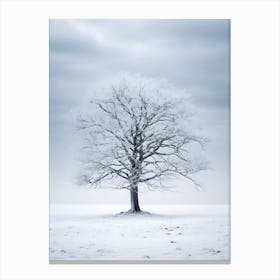 Winter Tree 1 Canvas Print